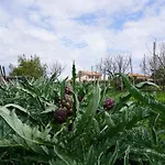 Podere Santa Virginia Фермерский дом *