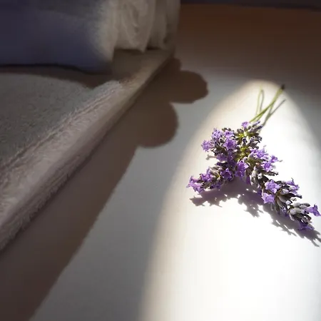 Farm stay Podere Santa Virginia *